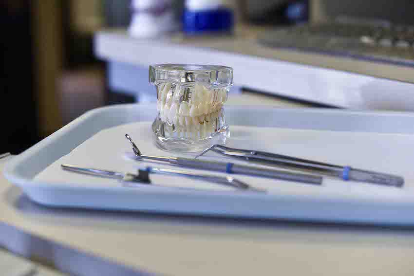 mouth model sitting on a dental tray next to dental tools